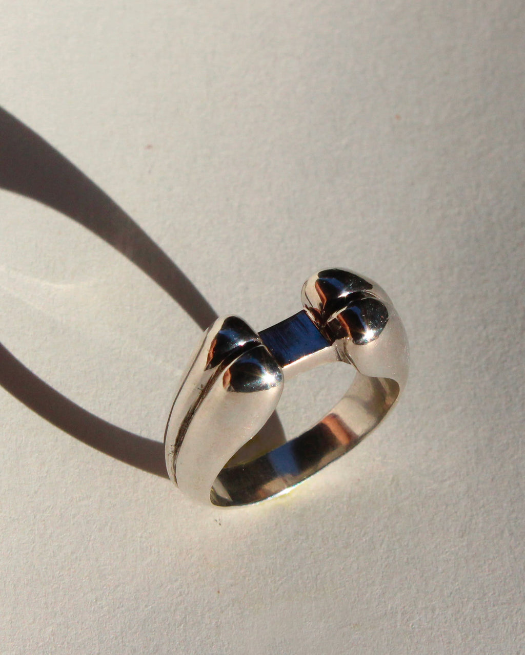 Anillo Pistilo