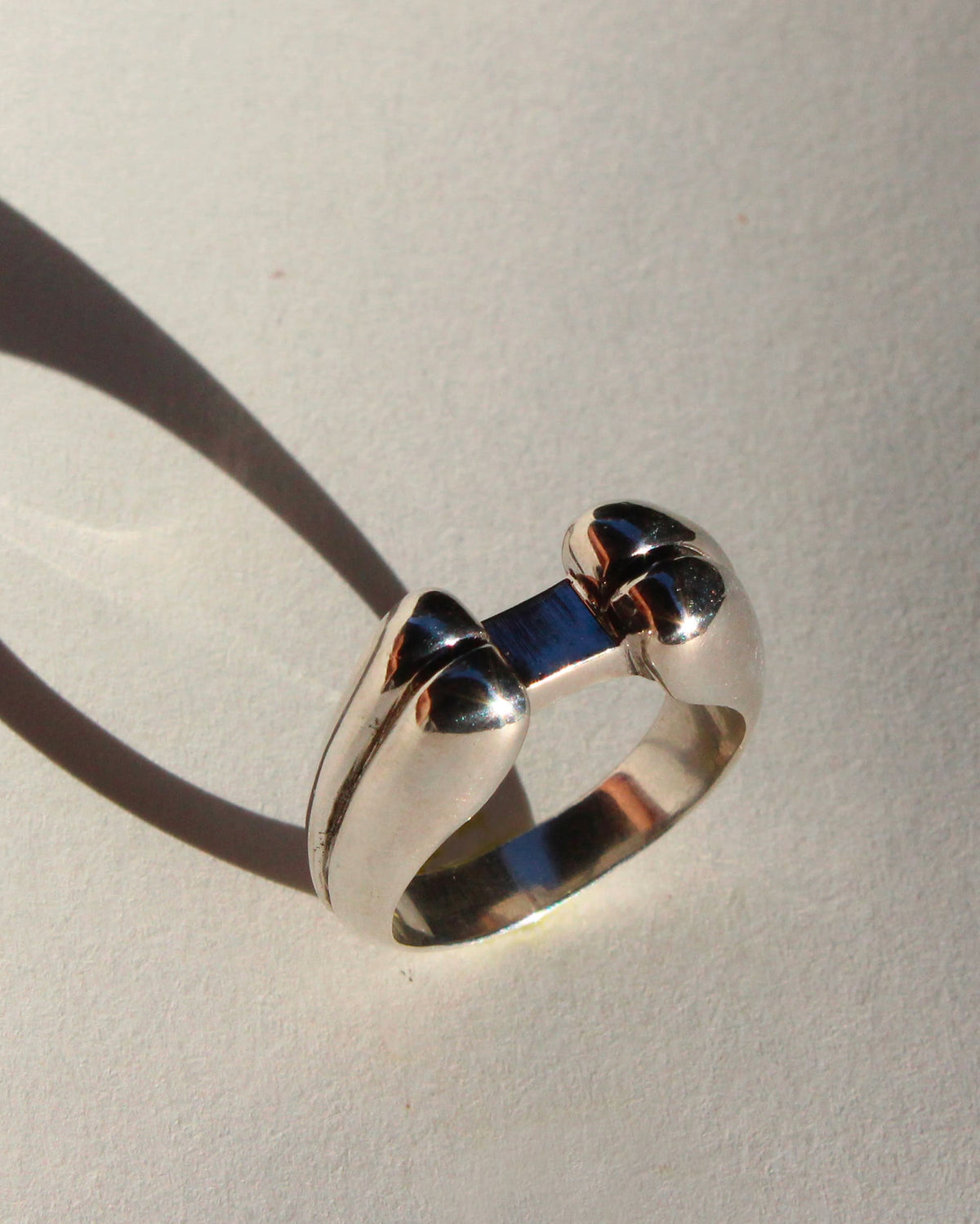 Anillo Pistilo